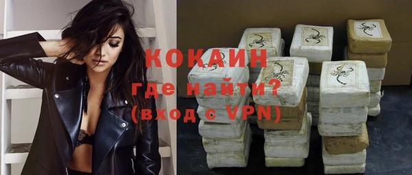 шишки Беломорск
