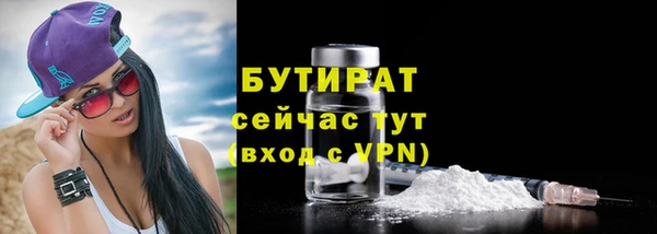 шишки Беломорск