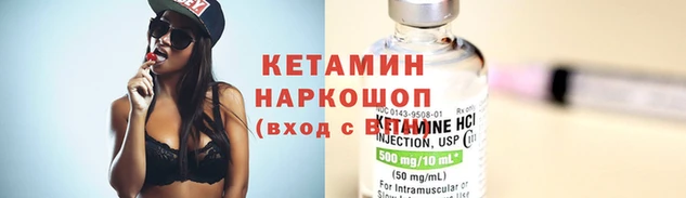 шишки Беломорск