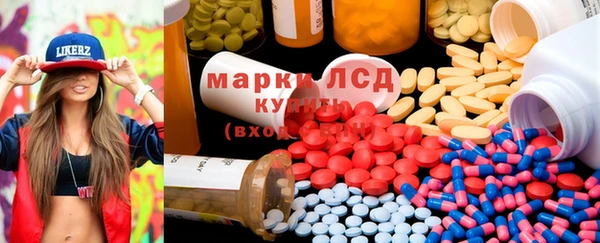шишки Беломорск