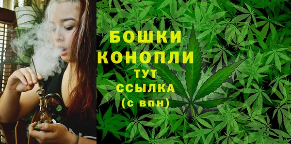 скорость Белокуриха