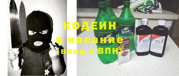 шишки Беломорск