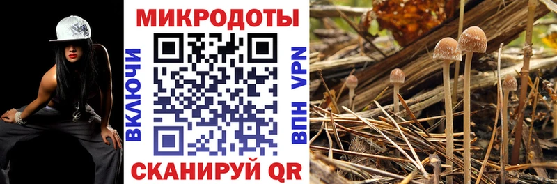 kraken ссылки Котельниково Псилоцибиновые грибы Magic Shrooms как найти